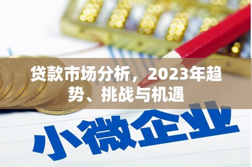 峨边贷款市场分析，2023年趋势、挑战与机遇