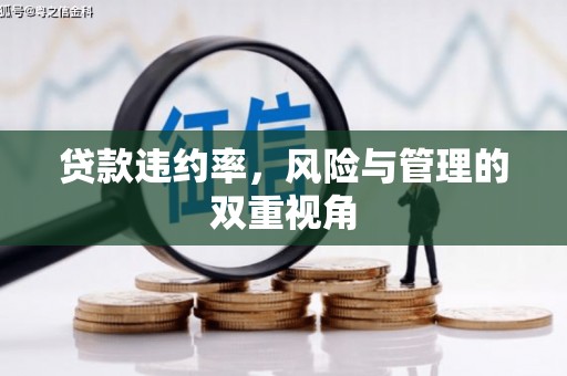 阳东贷款违约率，风险与管理的双重视角