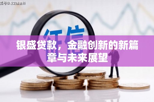 兴县银盛贷款，金融创新的新篇章与未来展望