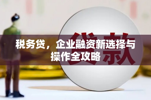 贾汪税务贷，企业融资新选择与操作全攻略