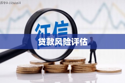 文安贷款风险评估