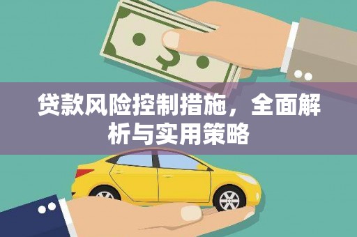 阳春贷款风险控制措施，全面解析与实用策略