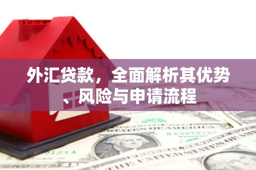 杂多外汇贷款，全面解析其优势、风险与申请流程