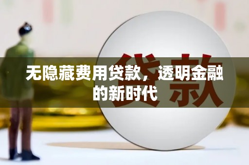昭苏无隐藏费用贷款，透明金融的新时代