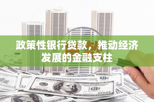 温泉政策性银行贷款，推动经济发展的金融支柱