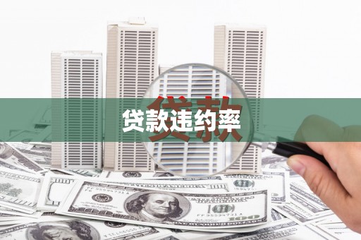 丽水贷款违约率