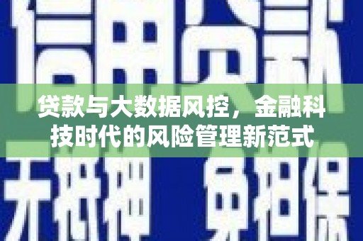 西陵贷款与大数据风控，金融科技时代的风险管理新范式