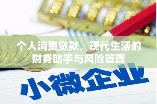 连云个人消费贷款，现代生活的财务助手与风险管理