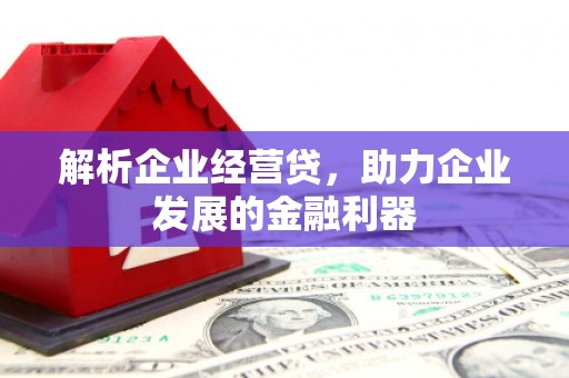 安南解析企业经营贷，助力企业发展的金融利器