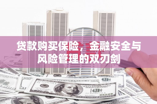 南开贷款购买保险，金融安全与风险管理的双刃剑