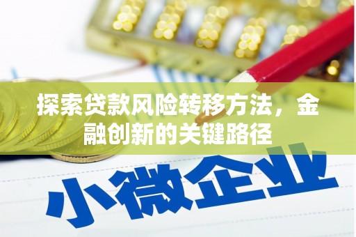 双柏探索贷款风险转移方法，金融创新的关键路径