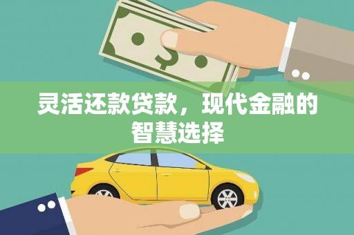 麦寮灵活还款贷款，现代金融的智慧选择