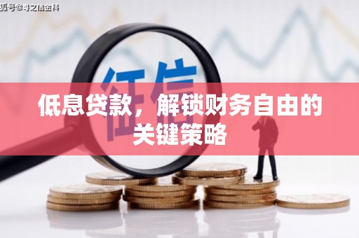 海南低息贷款，解锁财务自由的关键策略