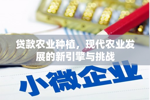 沛县贷款农业种植，现代农业发展的新引擎与挑战