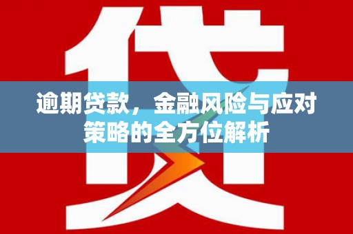 盐津逾期贷款，金融风险与应对策略的全方位解析
