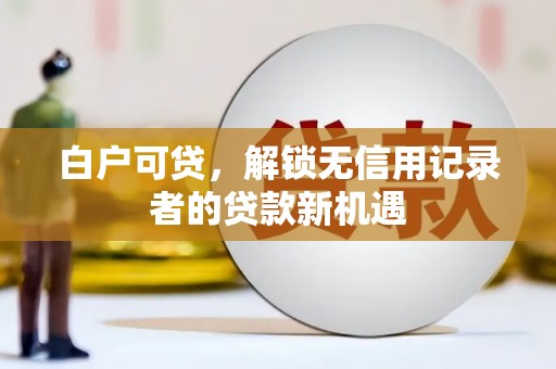 小金白户可贷，解锁无信用记录者的贷款新机遇