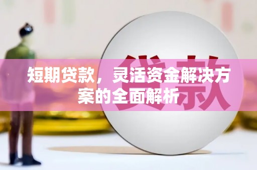 新园短期贷款，灵活资金解决方案的全面解析