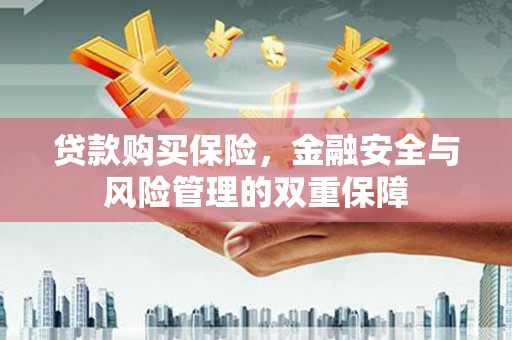 南乐贷款购买保险，金融安全与风险管理的双重保障