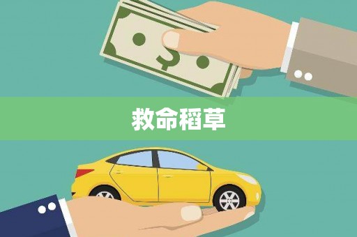 疏勒救命稻草