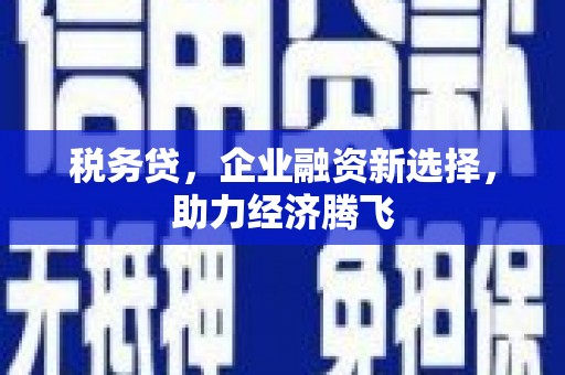 雷州税务贷，企业融资新选择，助力经济腾飞