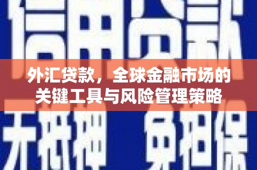 泽普外汇贷款，全球金融市场的关键工具与风险管理策略