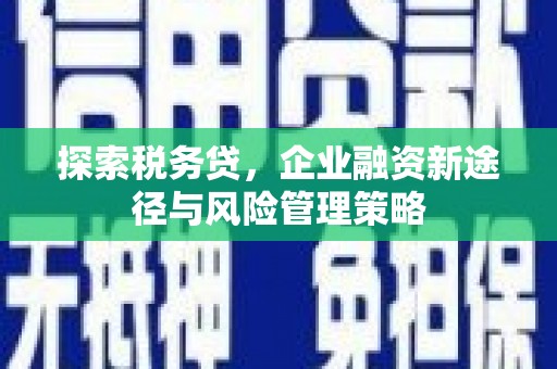 大堂探索税务贷，企业融资新途径与风险管理策略