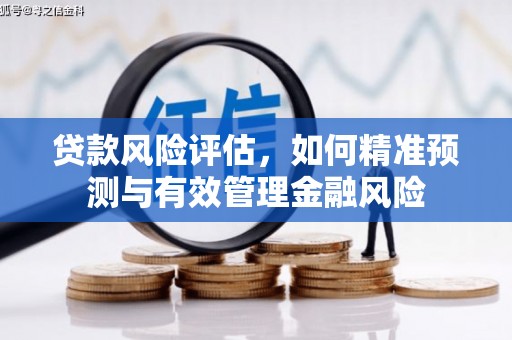 灵川贷款风险评估，如何精准预测与有效管理金融风险