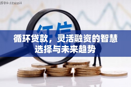 龙沙循环贷款，灵活融资的智慧选择与未来趋势