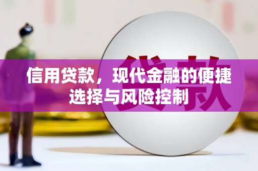 久治信用贷款，现代金融的便捷选择与风险控制