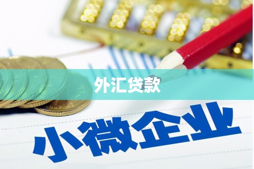 周村外汇贷款
