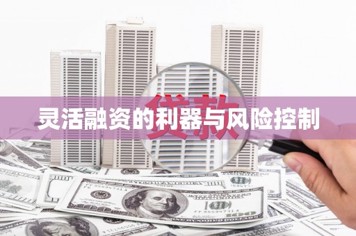 碌曲灵活融资的利器与风险控制
