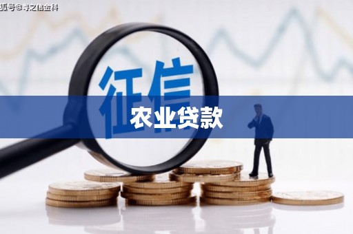 岷县农业贷款