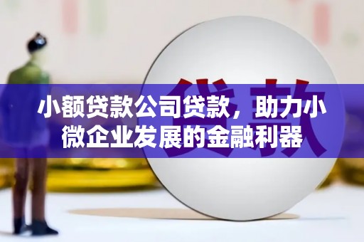 沙坪坝小额贷款公司贷款，助力小微企业发展的金融利器