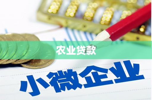 金安农业贷款