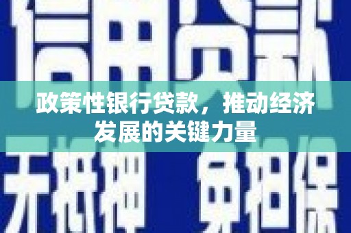 龙江政策性银行贷款，推动经济发展的关键力量