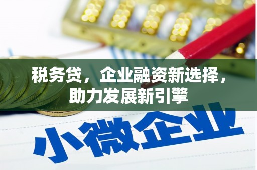 田家庵税务贷，企业融资新选择，助力发展新引擎