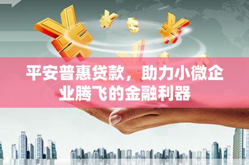 怀化平安普惠贷款，助力小微企业腾飞的金融利器