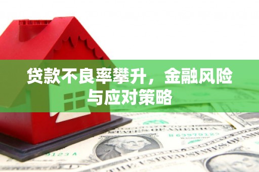 石家庄贷款不良率攀升，金融风险与应对策略