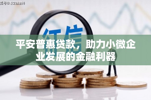德格平安普惠贷款，助力小微企业发展的金融利器