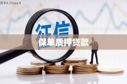 新会保单质押贷款