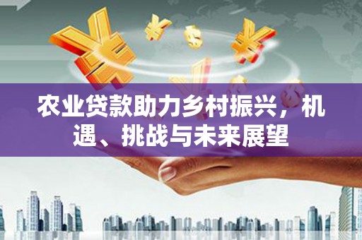 玉环农业贷款助力乡村振兴，机遇、挑战与未来展望