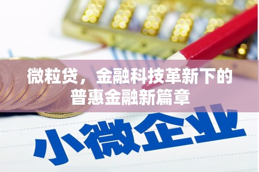 九台微粒贷，金融科技革新下的普惠金融新篇章