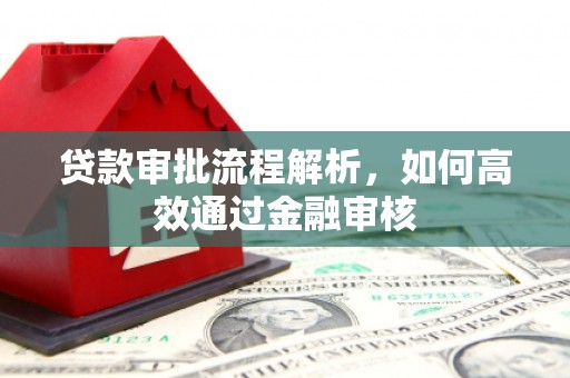 光泽贷款审批流程解析，如何高效通过金融审核