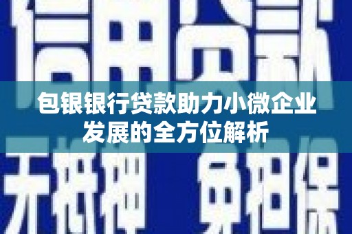 田家庵包银银行贷款助力小微企业发展的全方位解析