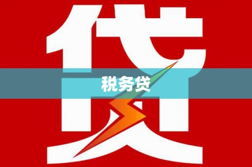 友谊税务贷