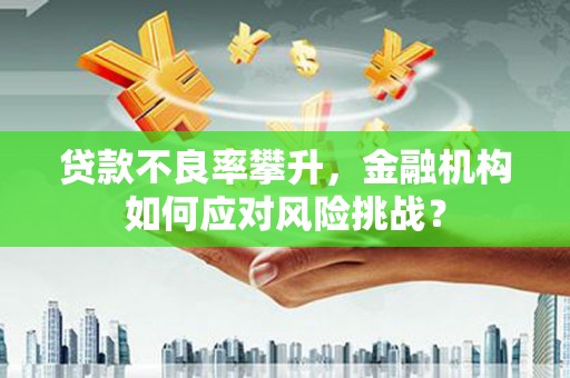 秦淮贷款不良率攀升，金融机构如何应对风险挑战？