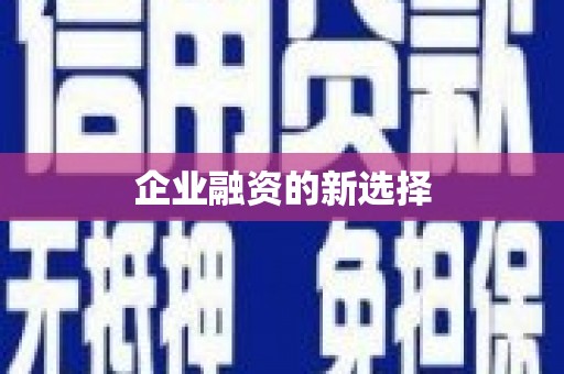 广水企业融资的新选择