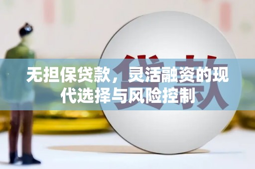东源无担保贷款，灵活融资的现代选择与风险控制