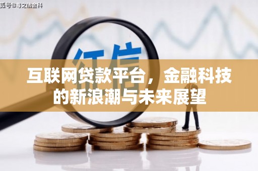 友谊互联网贷款平台，金融科技的新浪潮与未来展望