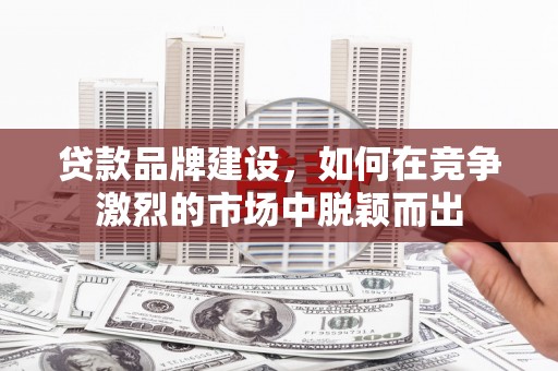 理县贷款品牌建设，如何在竞争激烈的市场中脱颖而出